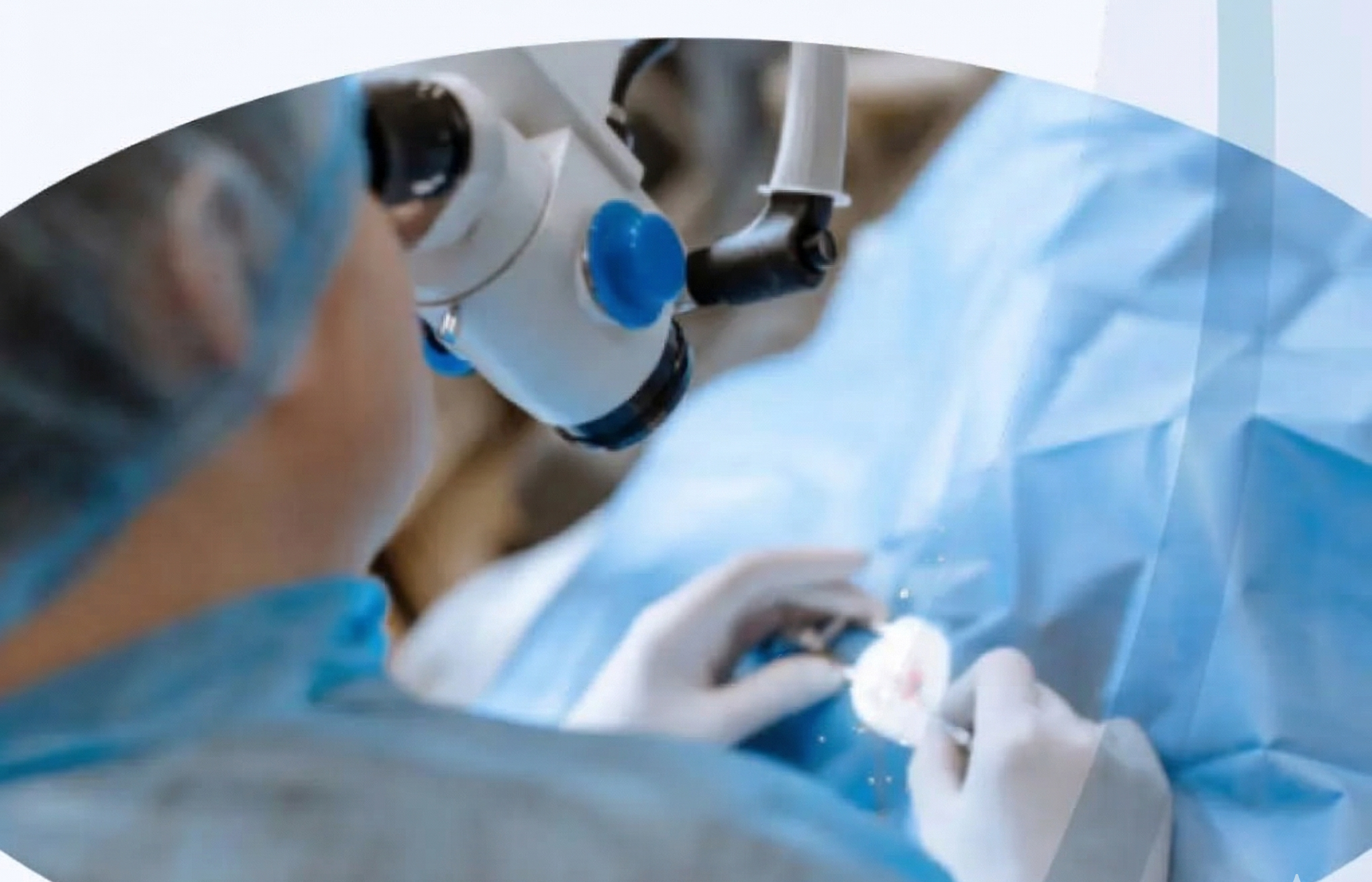 Tratamientos y Cirugías